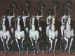 024-undinenkavalkade-1969
