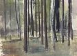 125-waldlichtung-oj